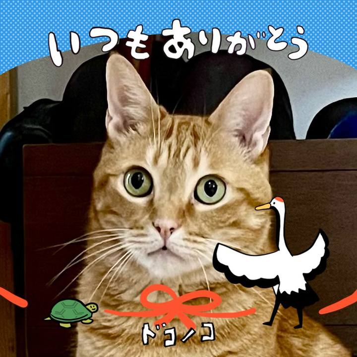 D436237c faac 4a88 9c83 6e73c62f096e 1726985263519