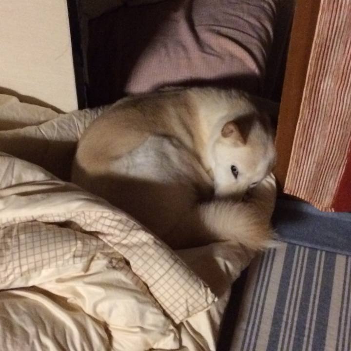 D4363eb0 3d6e 4161 9aae c0152d643c7f 1545753859050