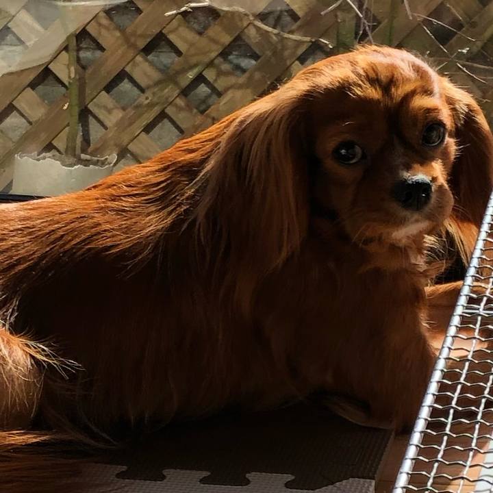 D4364d19 8345 4fab 8394 a0e31040f6a7 1549073196173