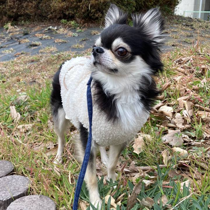 D4368063 a050 4833 b44f 7b7ffd5f680c 1677983660143