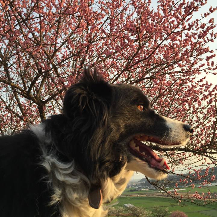 D436b0c0 b7cb 4ce3 8e4b c6fc3f3a7d0d 1520846017099