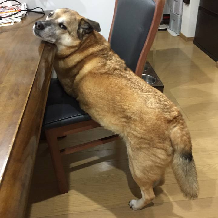 D436c9ce 8158 4036 8d89 640a08b20c28 1581589480512