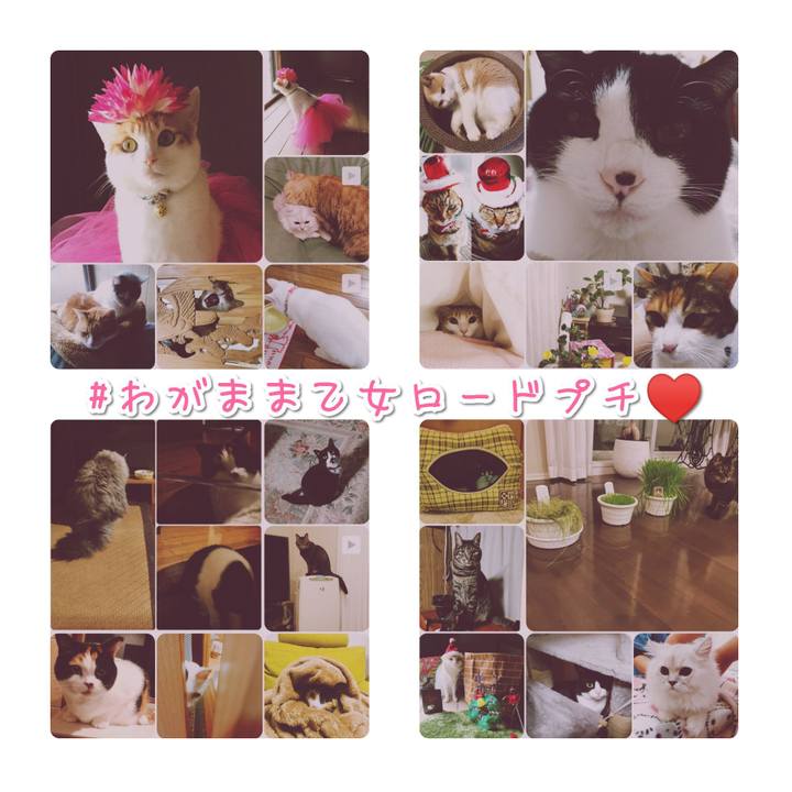 D436f498 b151 4027 a951 32b1377646c4 1575373310944