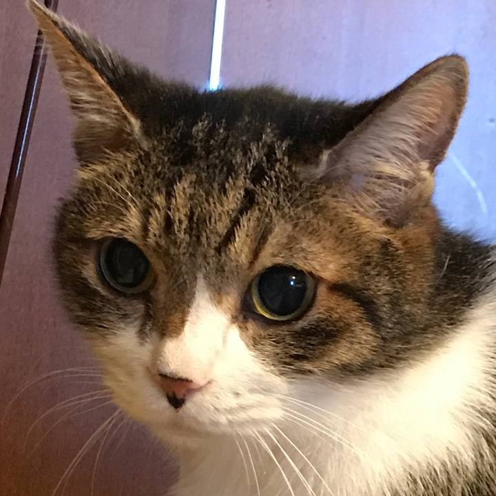 D43715cd 5a22 4a23 814b 1e3a4603b560 1527313574090