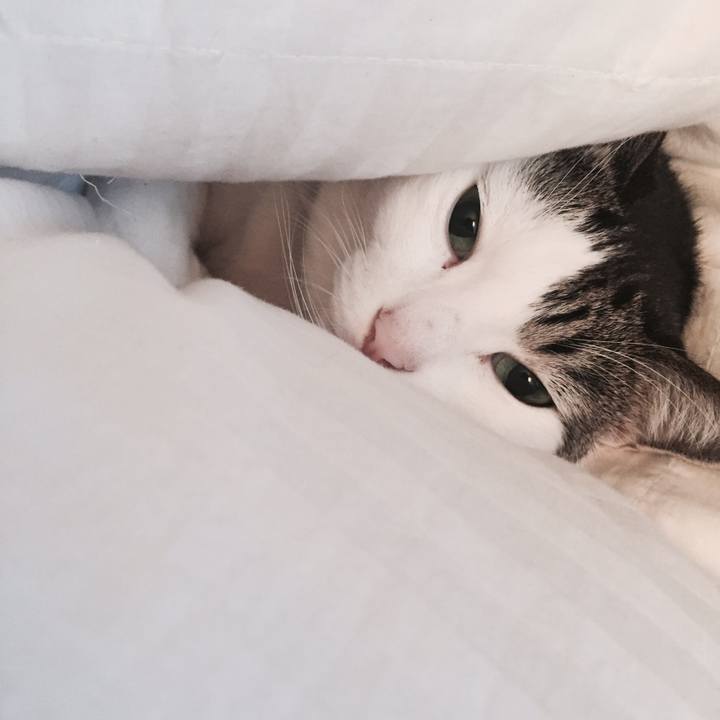 D437327f 3225 47fb ad99 842ccef12a4e 1509457516713