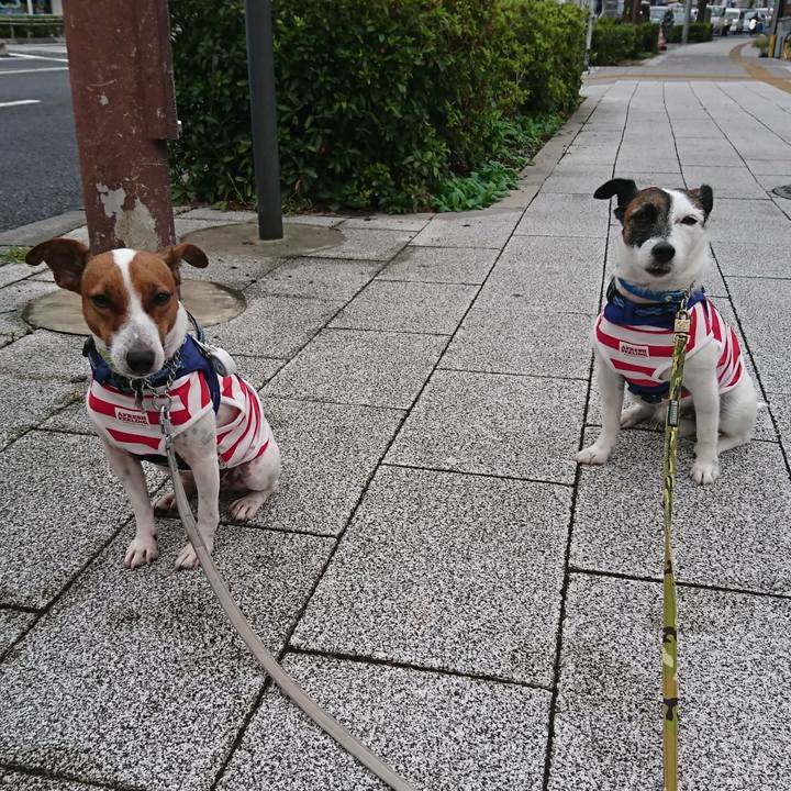 D43752d5 b3d0 48f9 8e3f 6bf386e91fb8 1570745260319