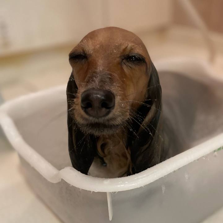 D4376082 b33f 4f54 a0af 0c6a63105609 1699097410024