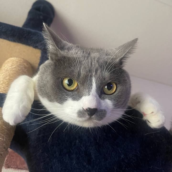 D437887d e787 4248 af23 265804b8e509 1729639108903