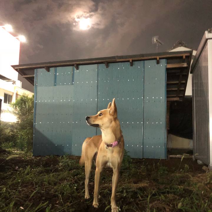 D4379469 24e2 41c1 9035 1b58e7269da8 1537786831331