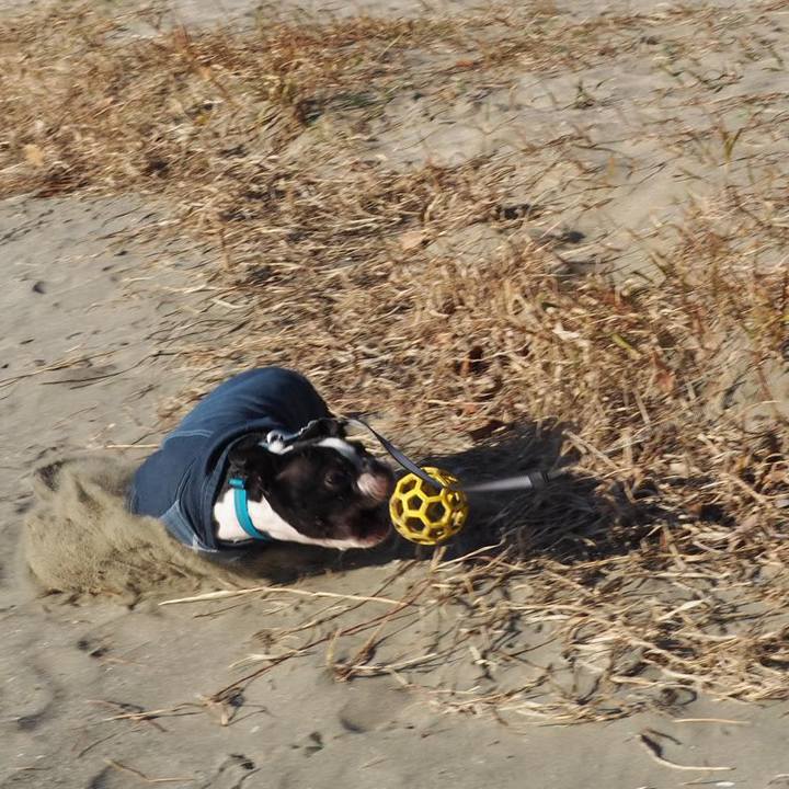 D437a034 2a87 4b81 b8d1 688079332ff5 1544856780774