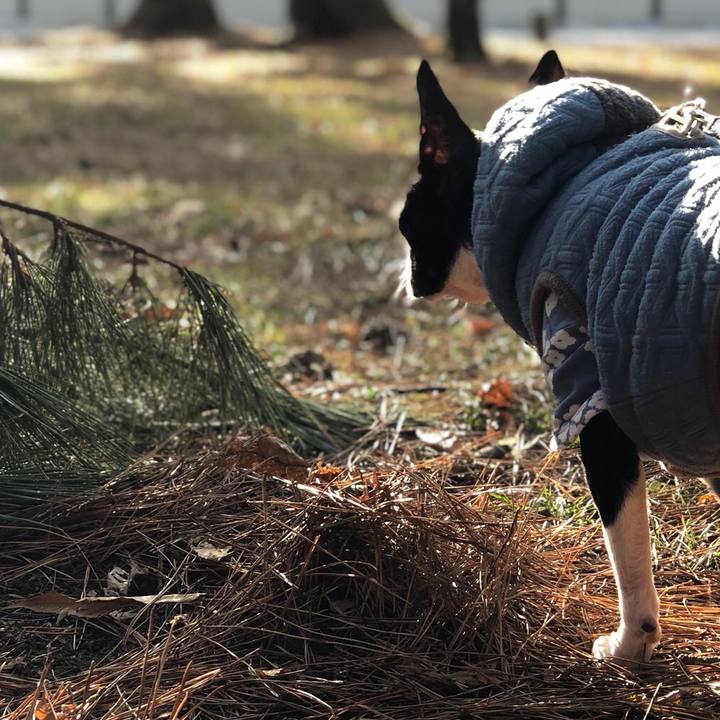 D437e093 8490 4264 a83c 0916a0c0395b 1518243214305