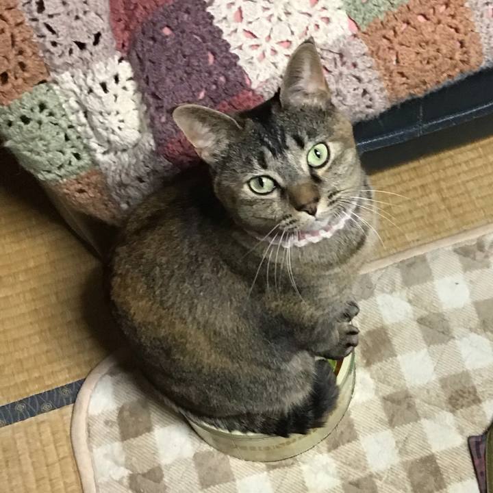 D437f9d4 0eaa 4340 9d58 8aab8c335978 1674817942464