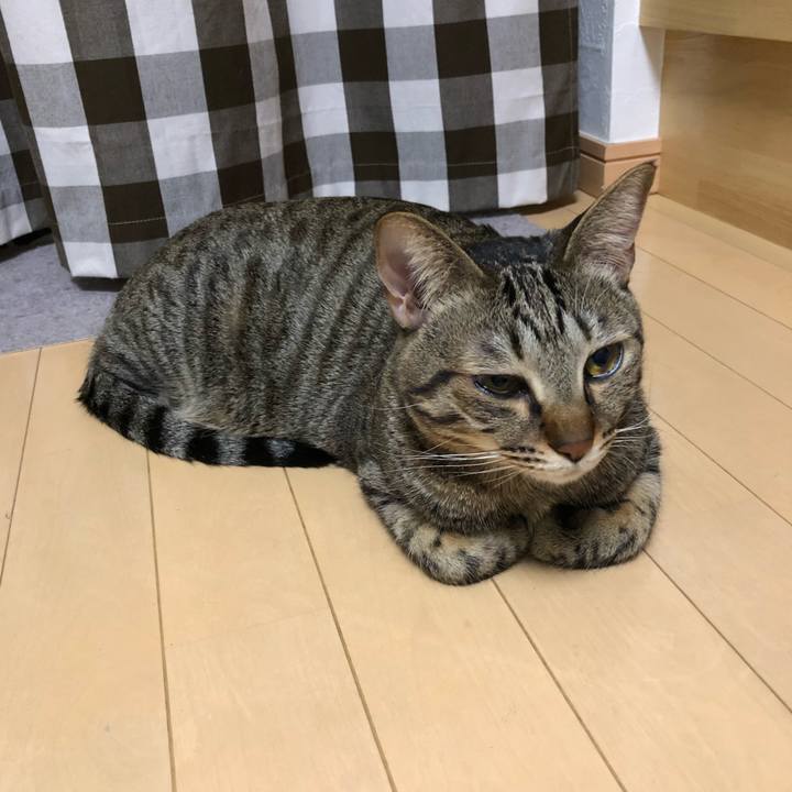 D4381c8b 2b77 4d62 8b44 7dc1e0a797e5 1517581203289