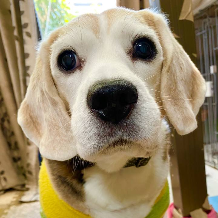 D4385b42 5641 4f2a 9b06 5ba42a0d664e 1639972295981