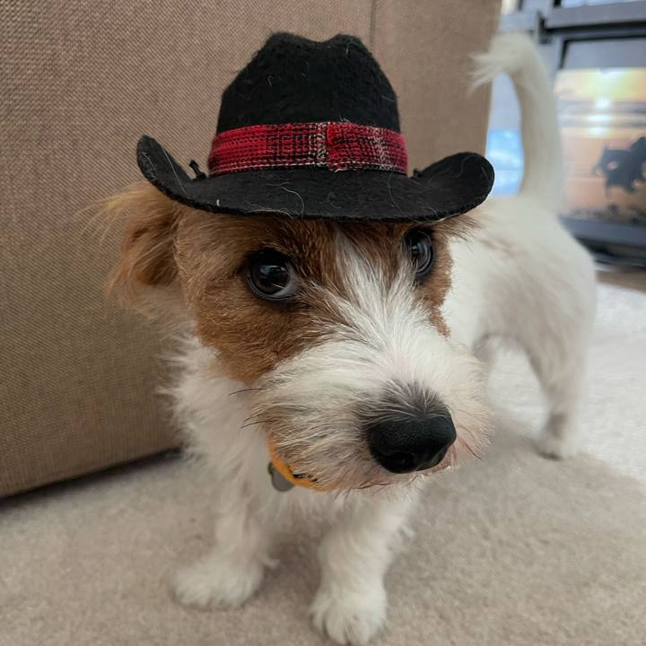 D438628b 0803 4775 81a2 58bdf7960a66 1759733242085