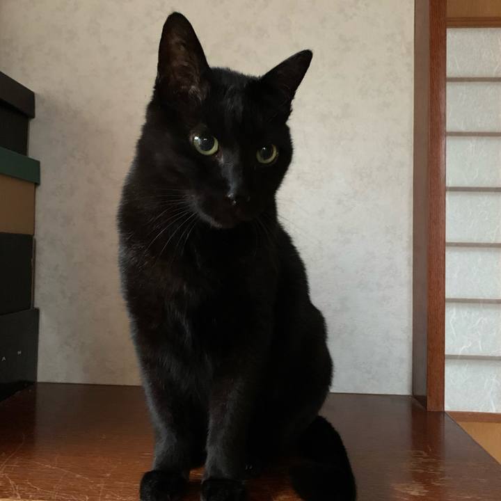 D43879ce b4be 4f47 92b0 2f70f6a390d4 1583284853814