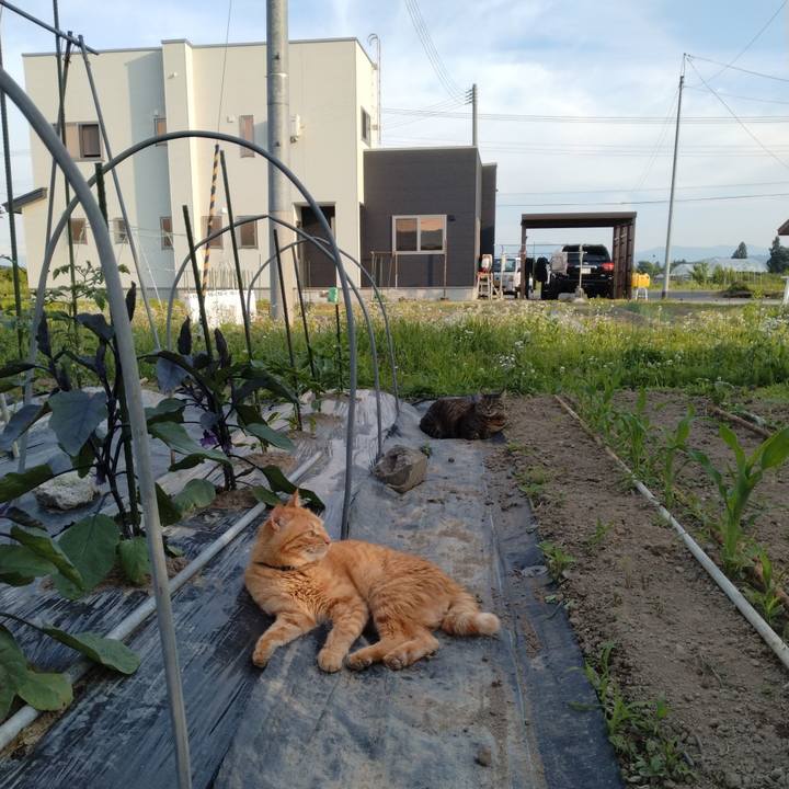 D4388ce1 75a2 48c8 90a0 c6bb3a1f7d87 1717754076206