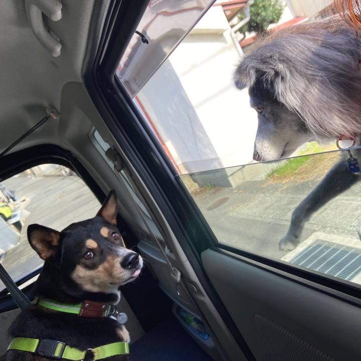 D4389694 e44a 4b90 8d36 c64f6f5c5c34 1637328460333