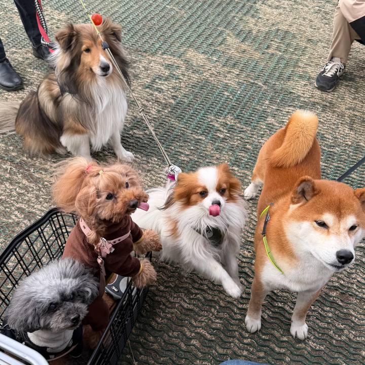 D438a754 cd8e 4d09 934e 02ae8e6f2ff5 1769478119289