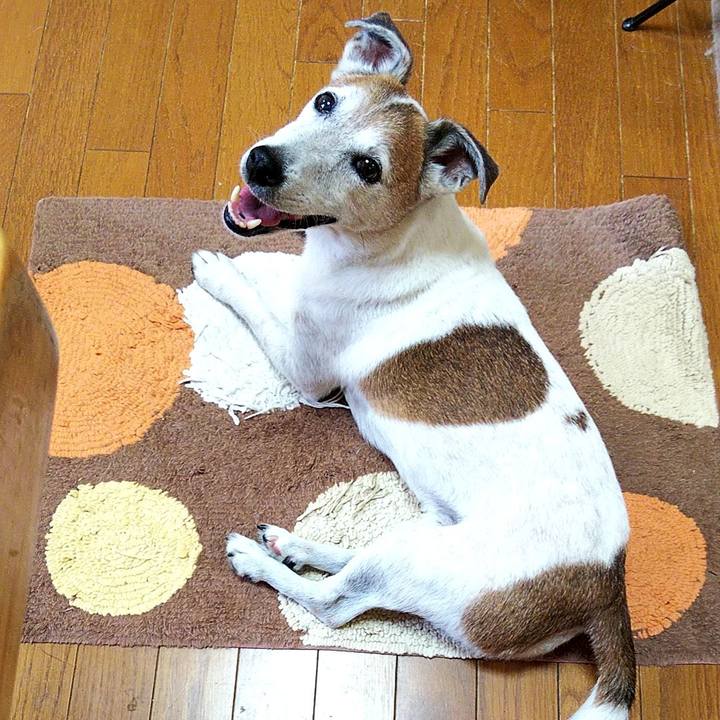 D438b0f4 cdcc 4615 8169 542ebdc8b4d4 1564014171744