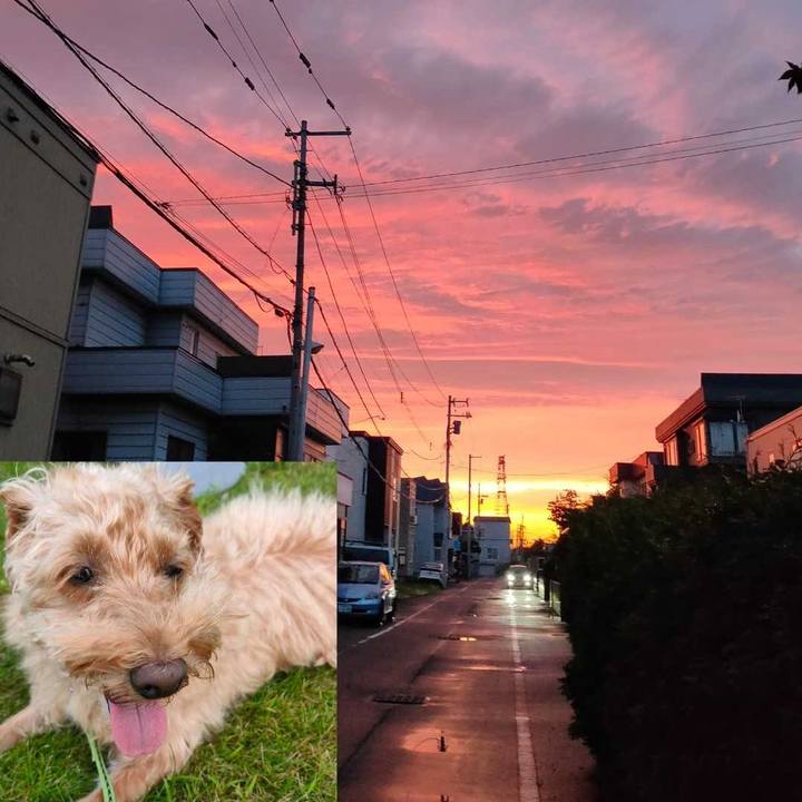 D438c957 5b08 4759 bff1 50d9386e05d4 1600460667605