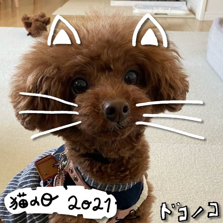 D438f74b 587c 4671 9cd4 cf3057e40d6e 1613981939102