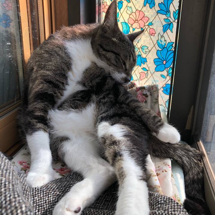 D438f934 9ff8 41c8 a3a2 60f234b2d0b9 1552089313259