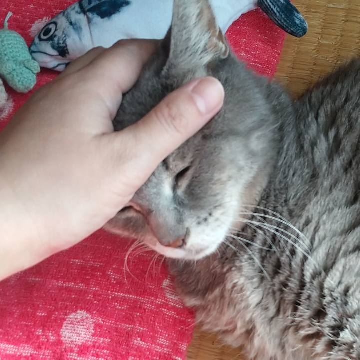 D43900f6 0df7 48a3 bf79 df21187739ba 1663283495194