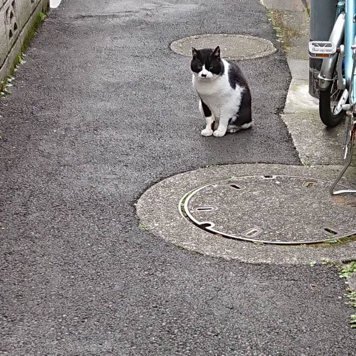 D4393120 73c2 43c7 b1dd 87c09d690e71 1680479719832