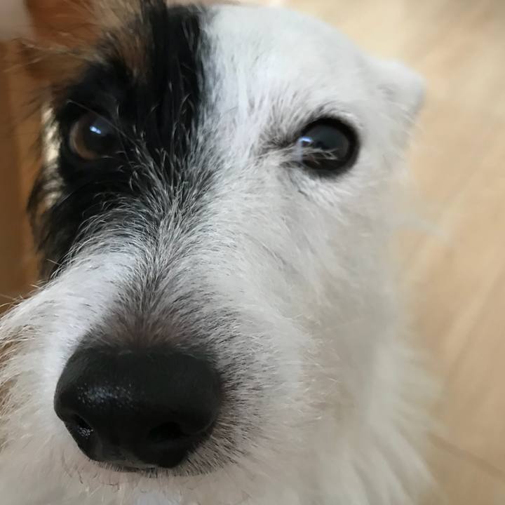 D43944e9 72df 4c0e a53d 07d7b670546b 1508828676937