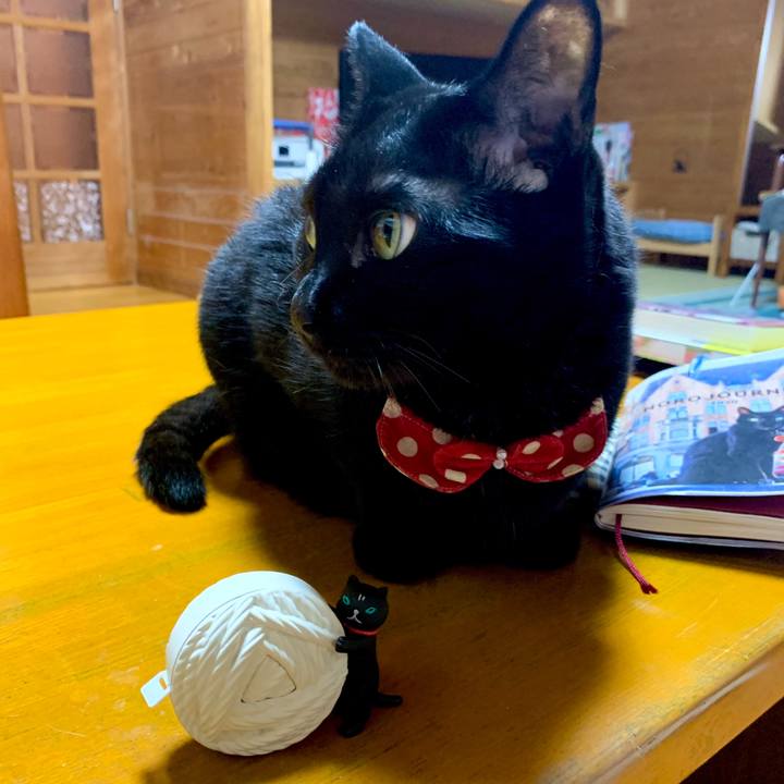 D4394ed4 ebbc 4af1 98b3 1ff4e432ce1b 1591967542727