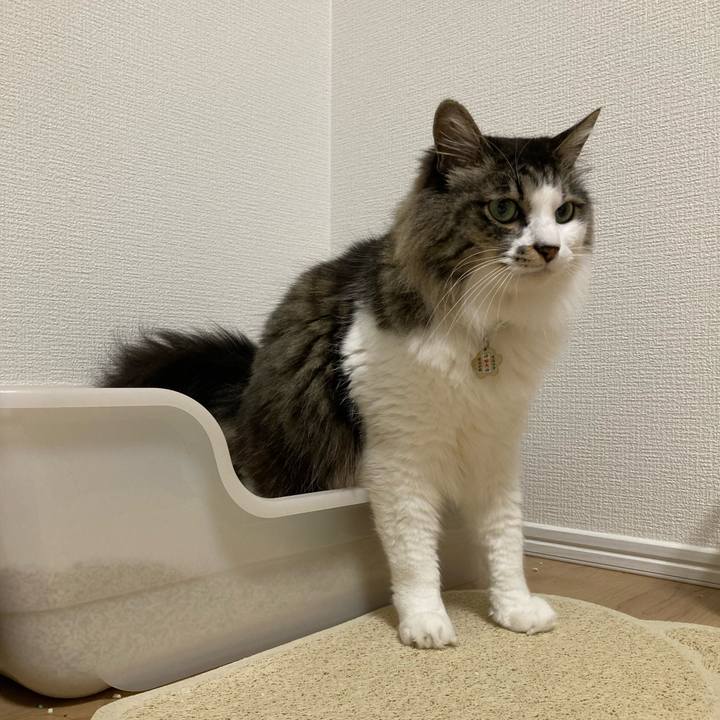 D4394f7d 6b7b 40e4 b06b 58f33cacb21d 1651000465600