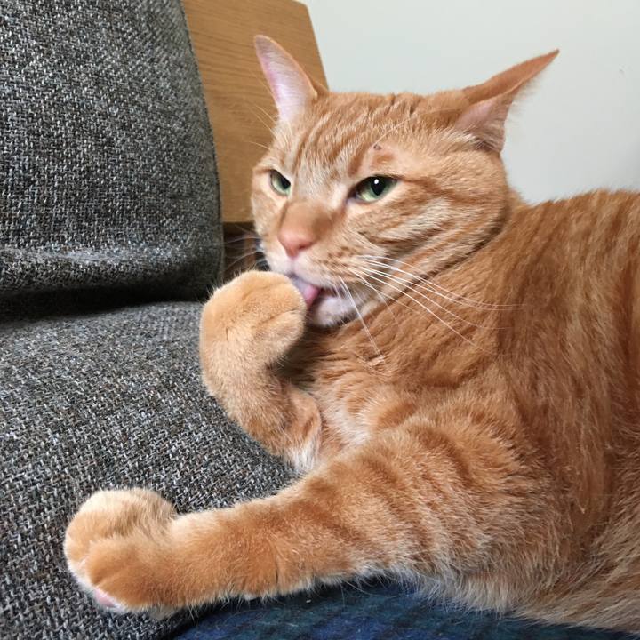 D439f6e5 d9b5 4d64 a9b8 024876aec1d5 1586665583509