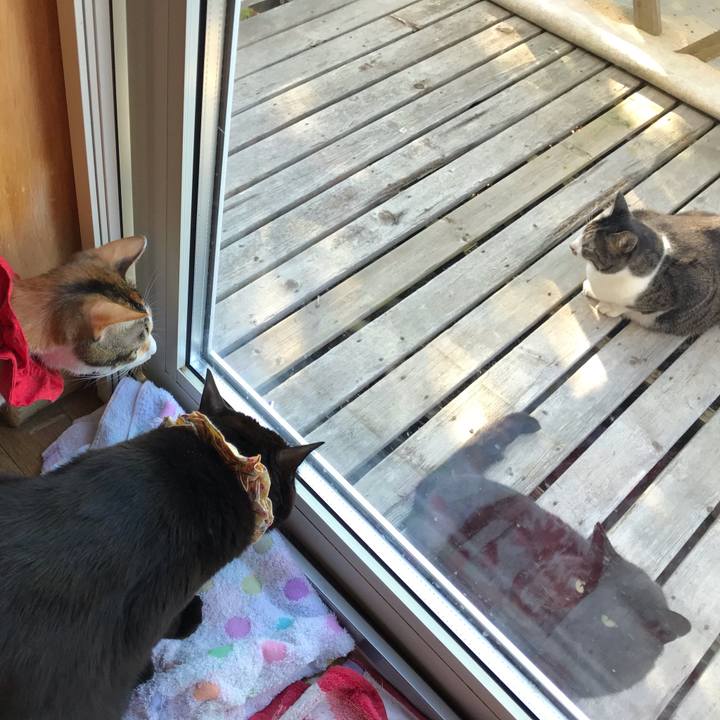 D439fa0d 9761 4a4e 8715 ae2d1a909da4 1622843563396