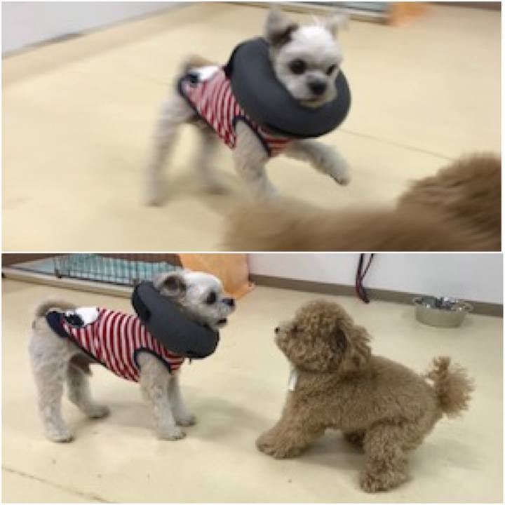 D43a0555 94e9 4e4c 802b c42969dc2155 1573820849019