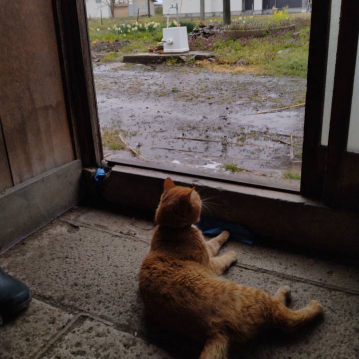 D43a1694 da7d 4620 8ffe be845921508a 1682463812500