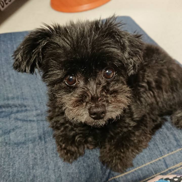 D43a270b e884 4e92 ac94 4ed5a8f732ac 1566559922529