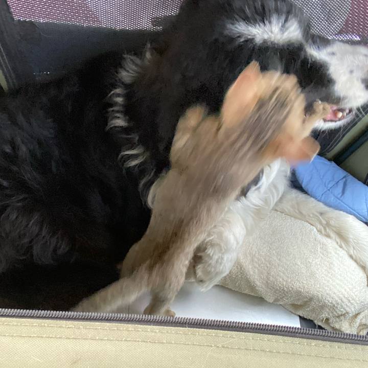 D43a373e 2e68 4afc aa77 1be406e07761 1623649345124