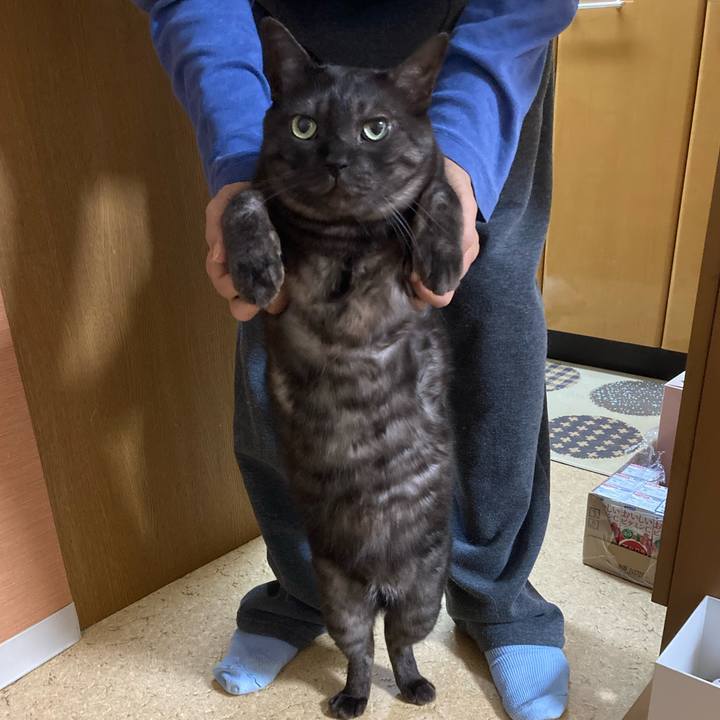 D43a42e9 094d 4bb0 b29c 9a20154f2f68 1710562535884