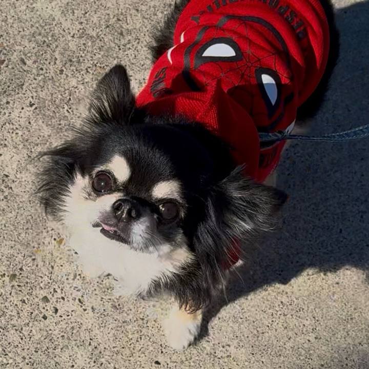 D43a58da 2f5d 4f7d 8faf eebacfeb0984 1731148515304