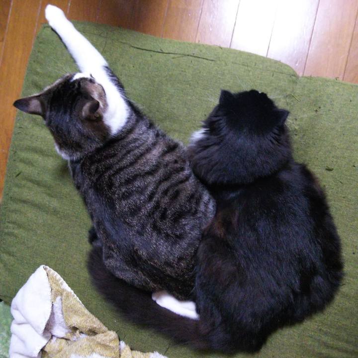 D43a6e95 5bd0 4170 8c3c 30f5be47b9cd 1651181675658