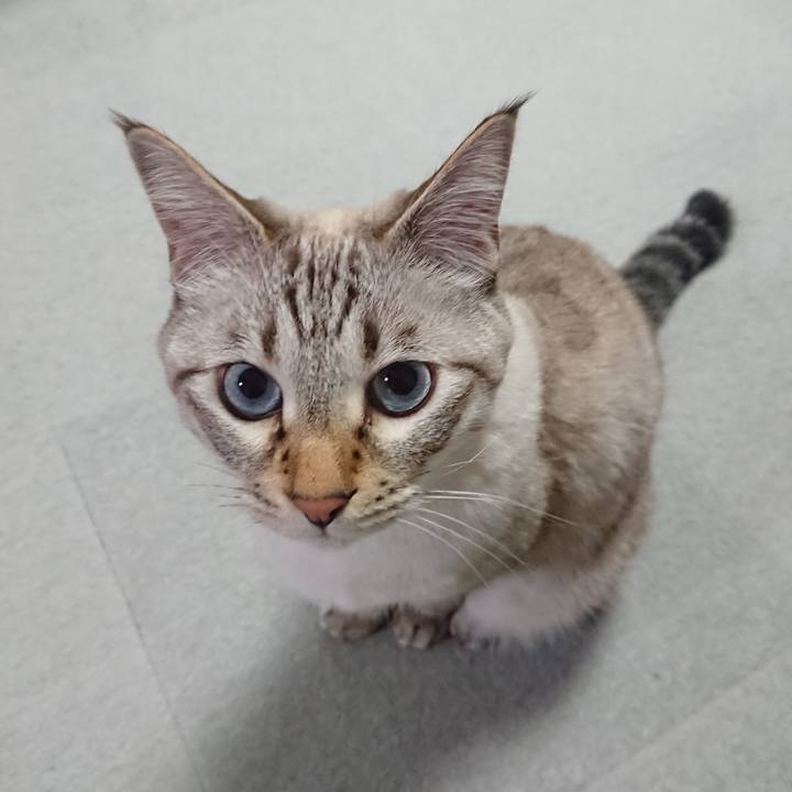 D43a87d3 b39b 40a2 bb91 c22d0280935e 1574820159841