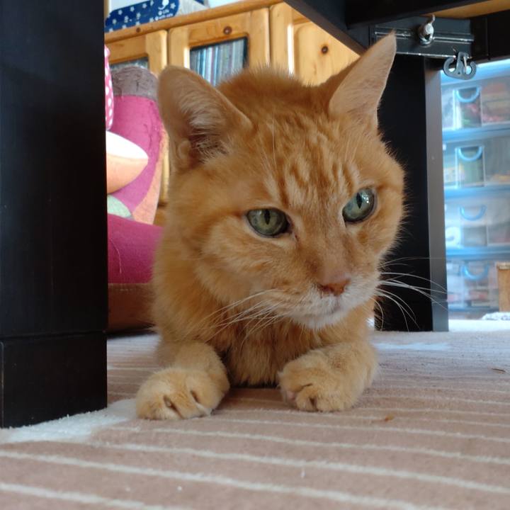 D43a8f2a c61a 4a14 a99d 5b03f1545f31 1713148157033