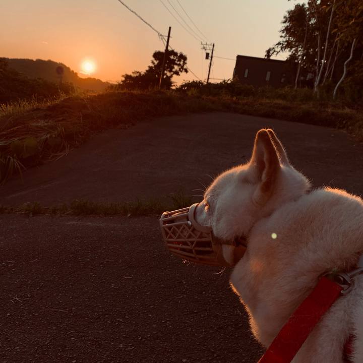 D43ac963 d157 480a 86f1 db619aa06bef 1596398890288