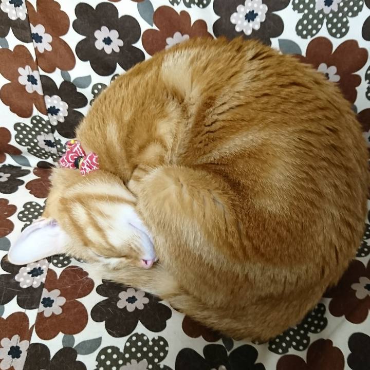 D43aff3b 1c93 45ad 914c be80ee628067 1511100717976