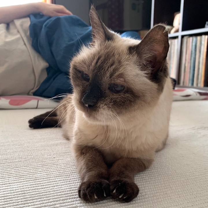 D43b06fb 30d5 4734 a267 6588afa80470 1694225098583