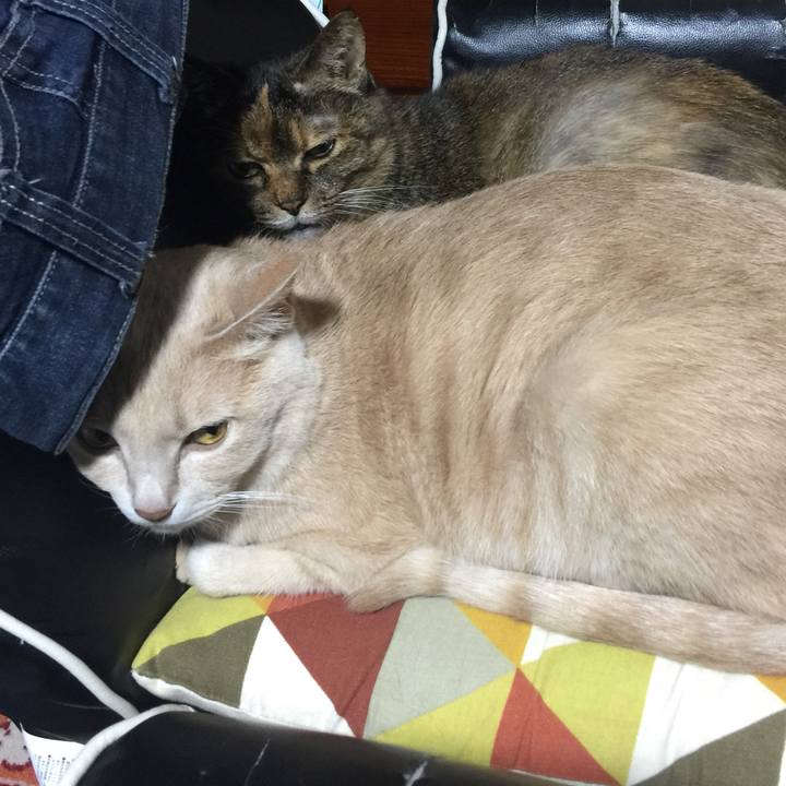 D43b2e56 b434 4e5e 85e8 f2a136bffddb 1560336160721