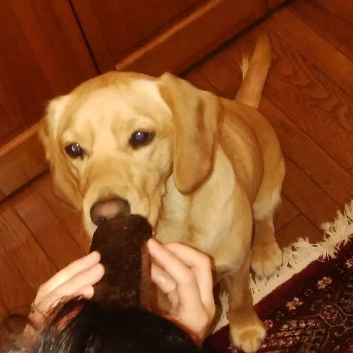 D43b3331 0b38 424f 8fac 9856903bb1a4 1517657246236