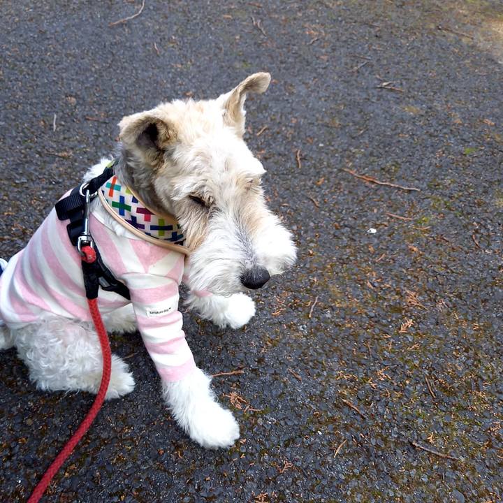 D43b4585 86d0 4ecc b6d9 3eb8f19cfb39 1615249852765