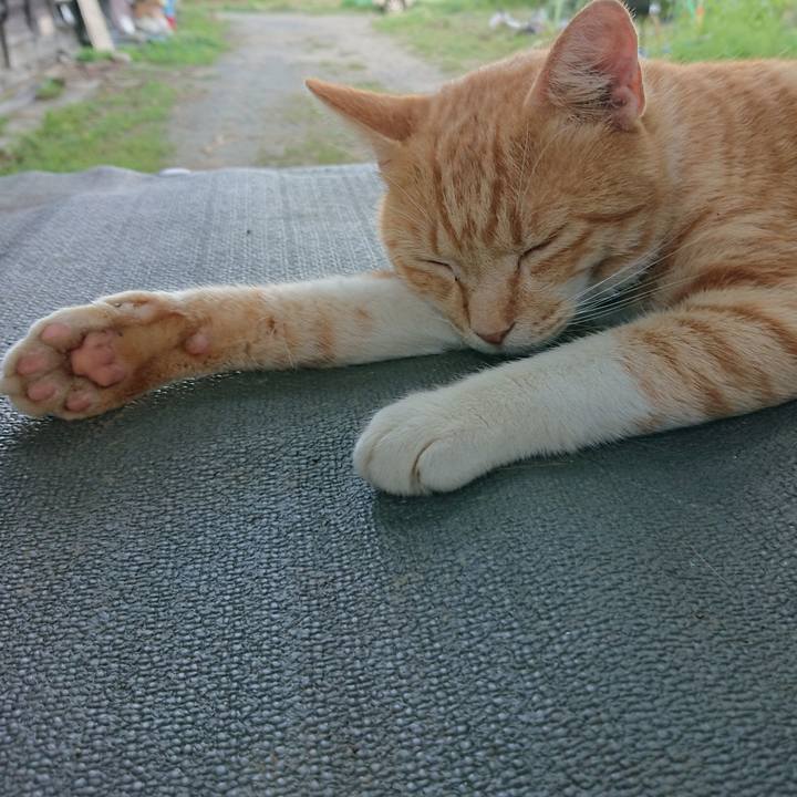 D43b56c2 1d53 4a0a 8b48 80f4c216b99d 1564217613070